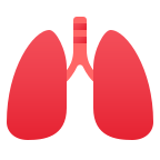 Lungs icon