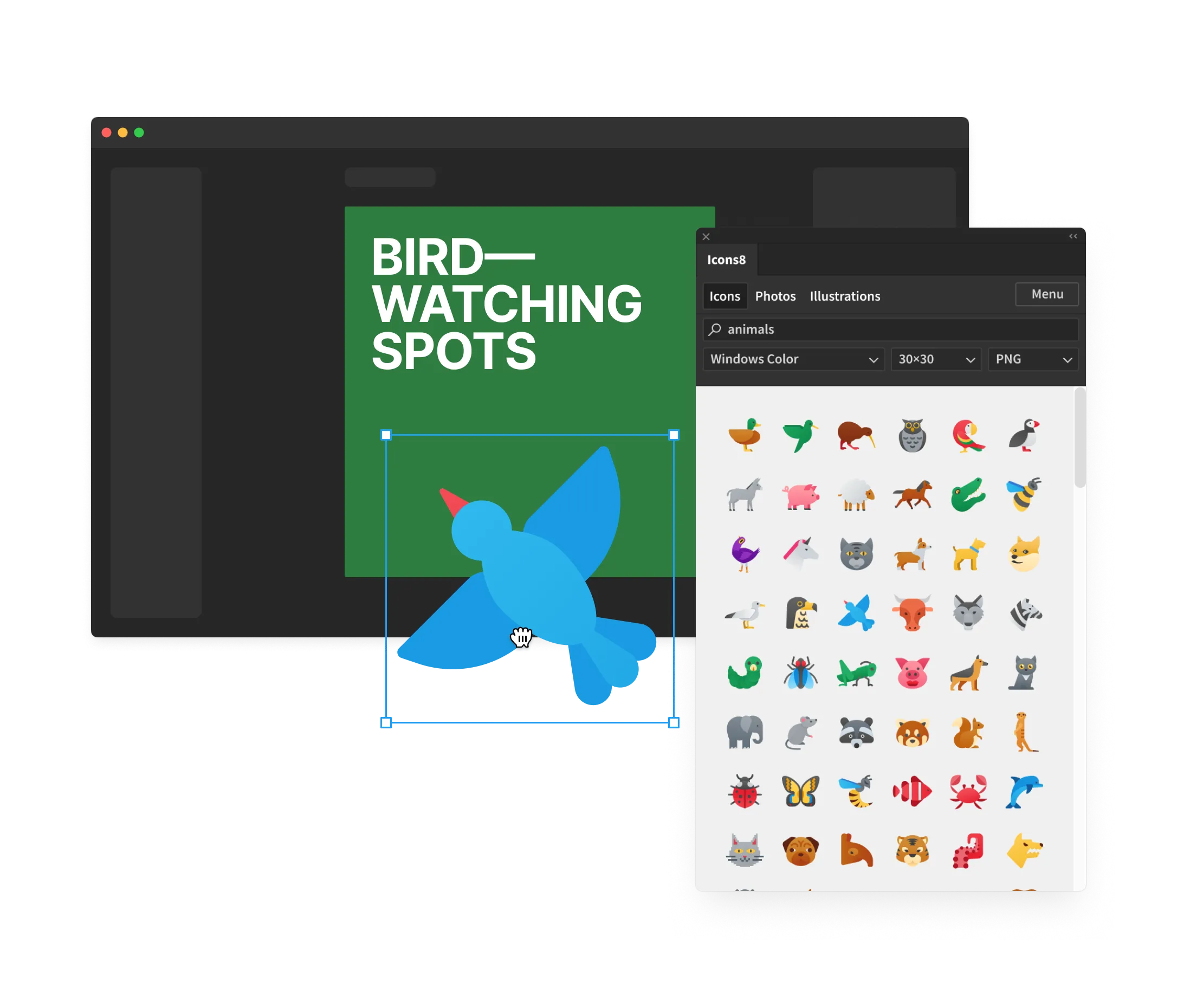 Photoshop plugin